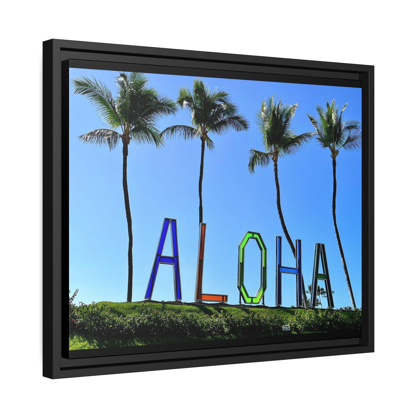 Aloha in Hawaii Matte Canvas Poster, Black Frame*