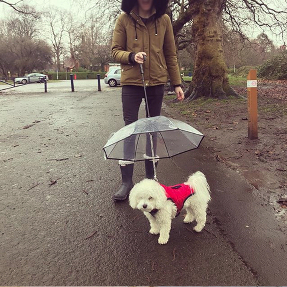 Transparent Pet Umbrella Dog Umbrella Pet Products*