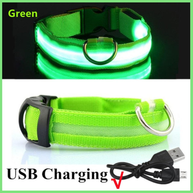 Luminous Dog Collar Glow in the Dark Collar LED Safety Collar *