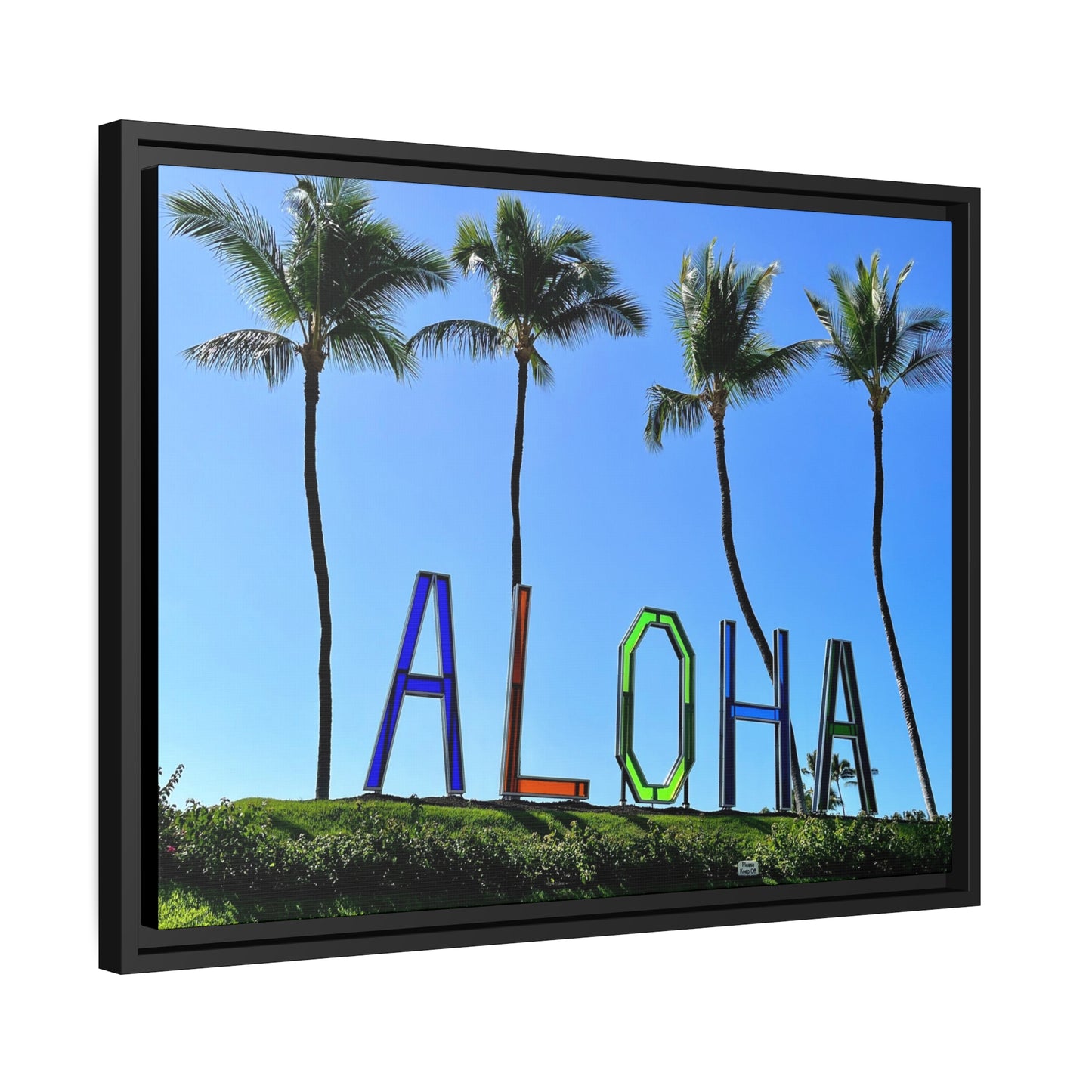Aloha in Hawaii Matte Canvas Poster, Black Frame*
