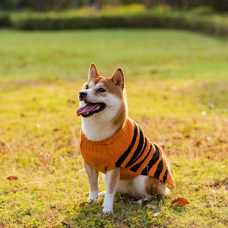 Halloween Dog Sweaters* Pet Costume Teddy Warm Leisure Sweater Cosplay Clothes For Dogs Pets Outfits