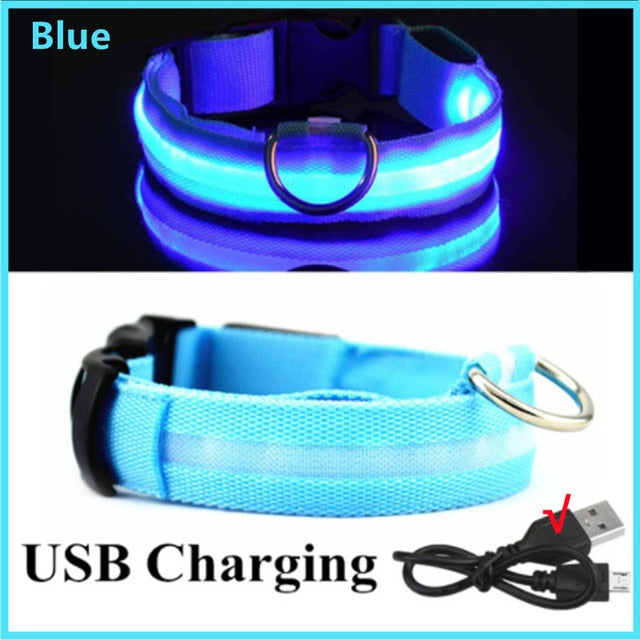 Luminous Dog Collar Glow in the Dark Collar LED Safety Collar *