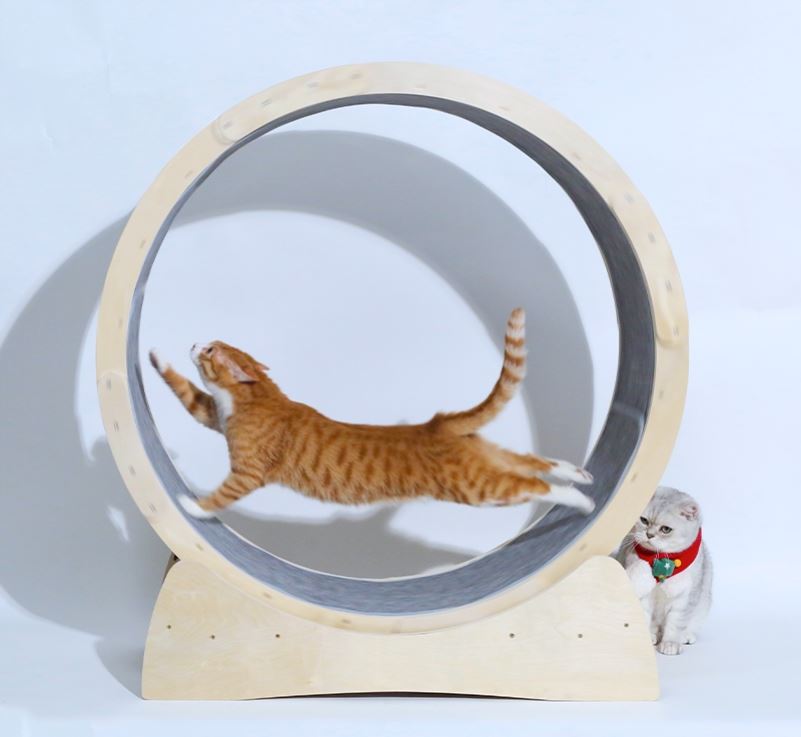 Special Toys For Cat Treadmill Roller *