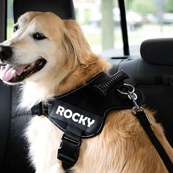 Adjustable Dog Safety Seat Belt*