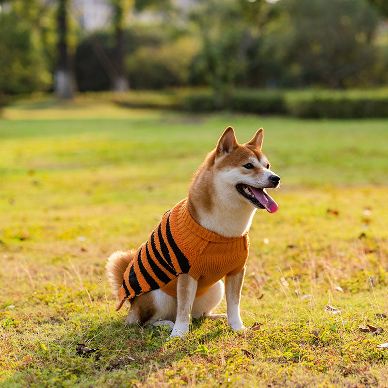 Halloween Dog Sweaters* Pet Costume Teddy Warm Leisure Sweater Cosplay Clothes For Dogs Pets Outfits