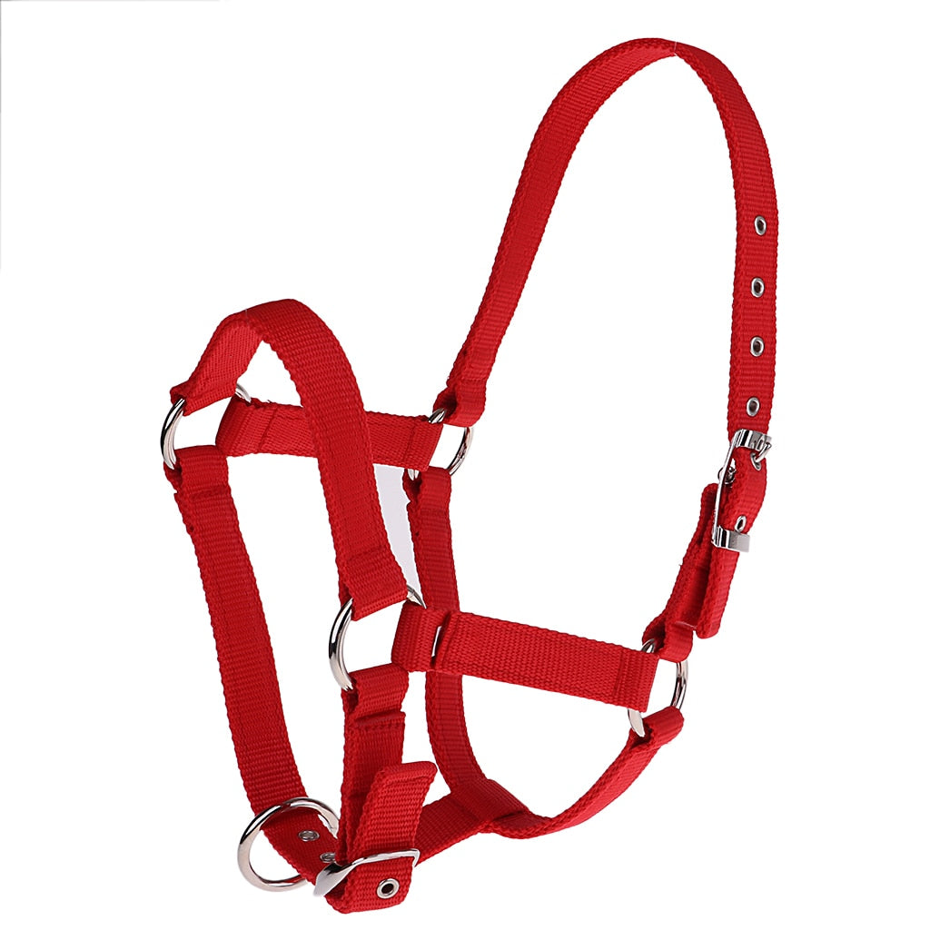 Adjustable Webbing Equestrian Horse Halter Horse Riding Wear Adjustable Horse Halter Outdoor Racing Woven Belts Bridle*