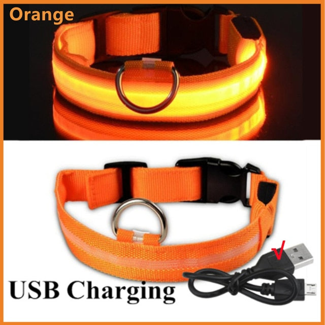 Luminous Dog Collar Glow in the Dark Collar LED Safety Collar *