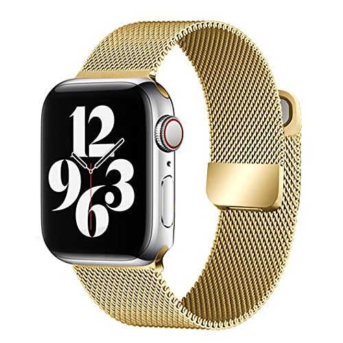 Magnetic Double Section Strap for iWatch*