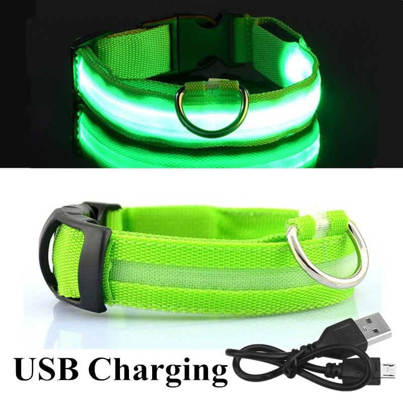 Adjustable LED Glowing Pet Collar Safety Collar rechargeable*