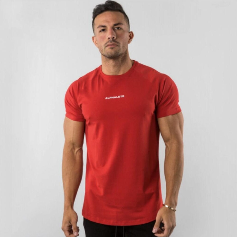 Men Fitted Gym T-Shirt* Workout Shirt