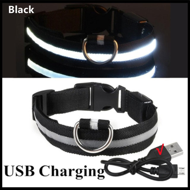 Luminous Dog Collar Glow in the Dark Collar LED Safety Collar *