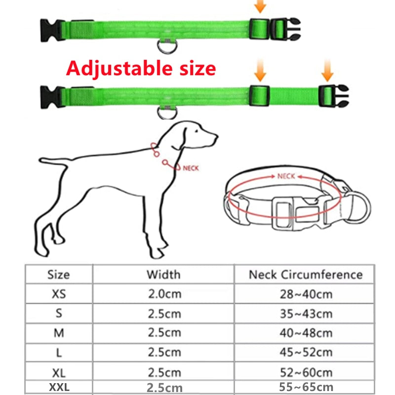 Luminous Dog Collar Glow in the Dark Collar LED Safety Collar *