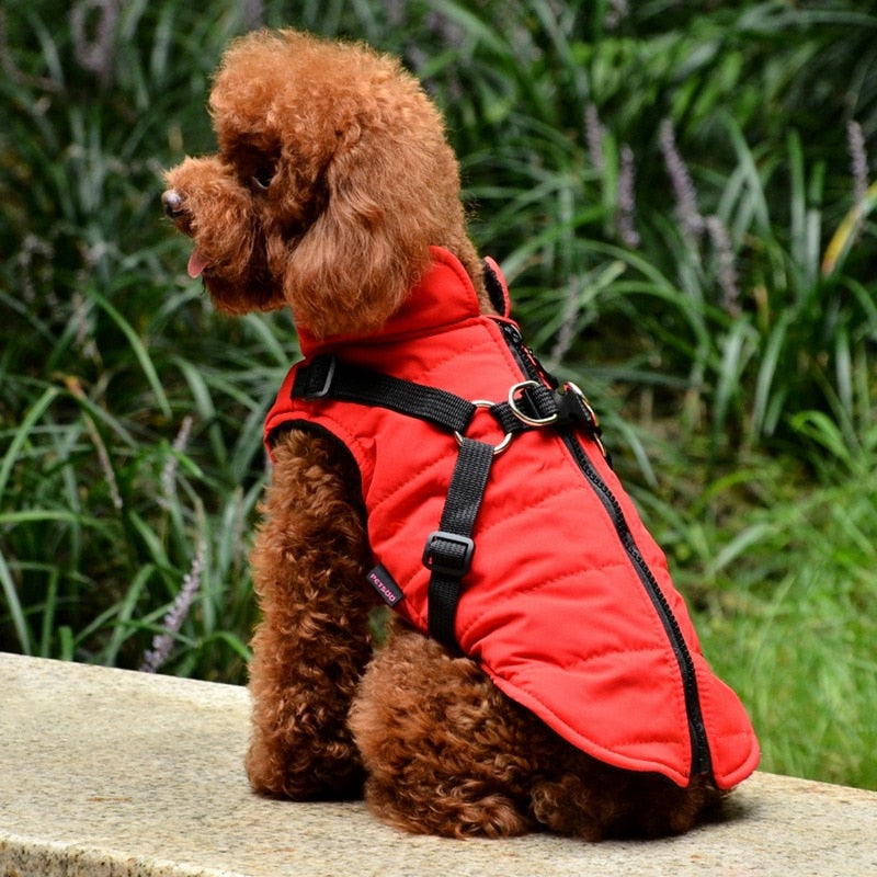 Waterproof Pet Coat With Harness*