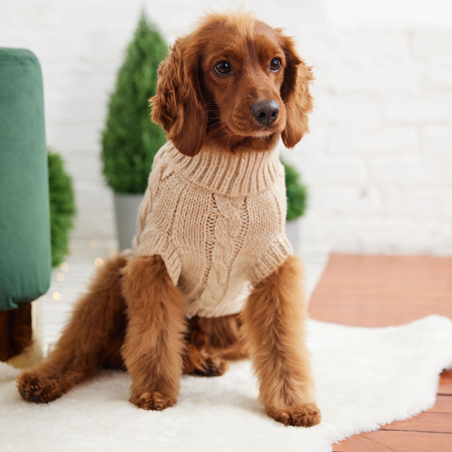 Chalet Dog Sweater - Oatmeal*