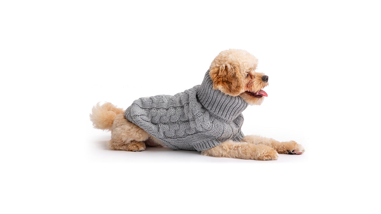 Chalet Dog Sweater - Grey*