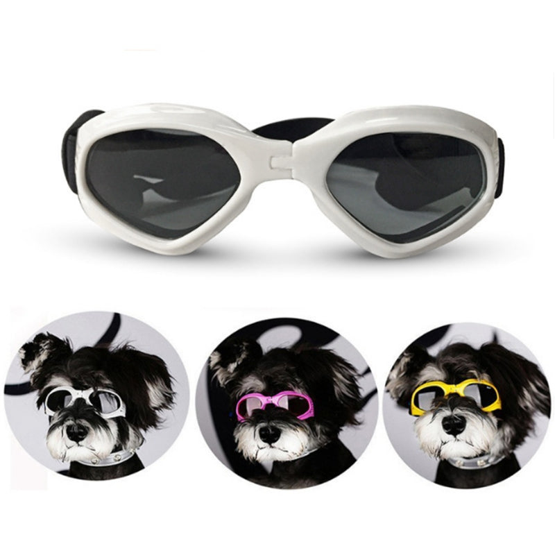 Dog Sunglasses*