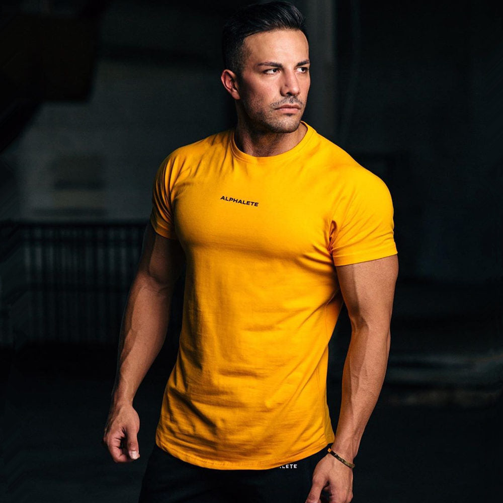 Men Fitted Gym T-Shirt* Workout Shirt