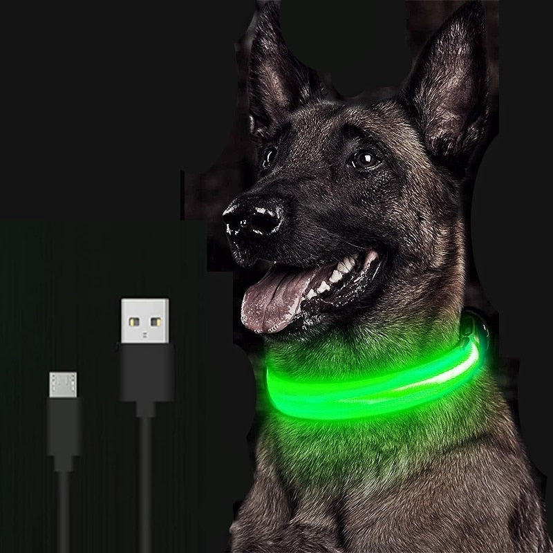 Adjustable LED Glowing Pet Collar Safety Collar rechargeable*