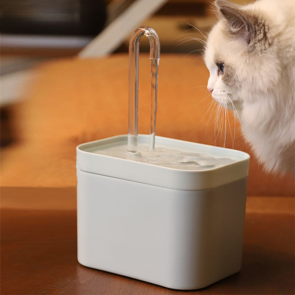 Pet Water Dispenser* Water Fountain Dog Cat