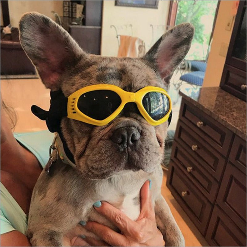 Dog Sunglasses*