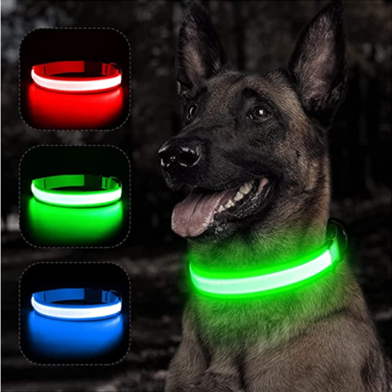 Luminous Dog Collar Glow in the Dark Collar LED Safety Collar *