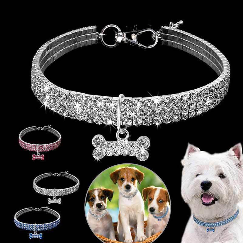 Unique and Stylish Pet Collar*