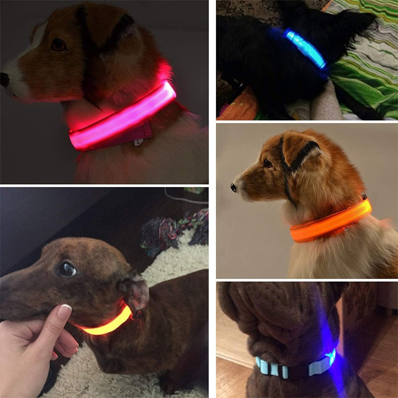 Adjustable LED Glowing Pet Collar Safety Collar rechargeable*