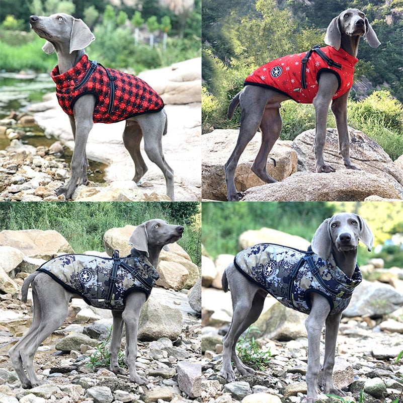 Winter Dog Clothes* Pet Jacket With Harness*