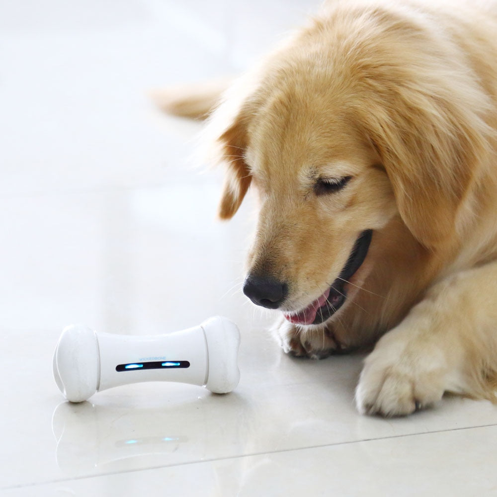 Pet Induction Interactive Toy* App Controlled