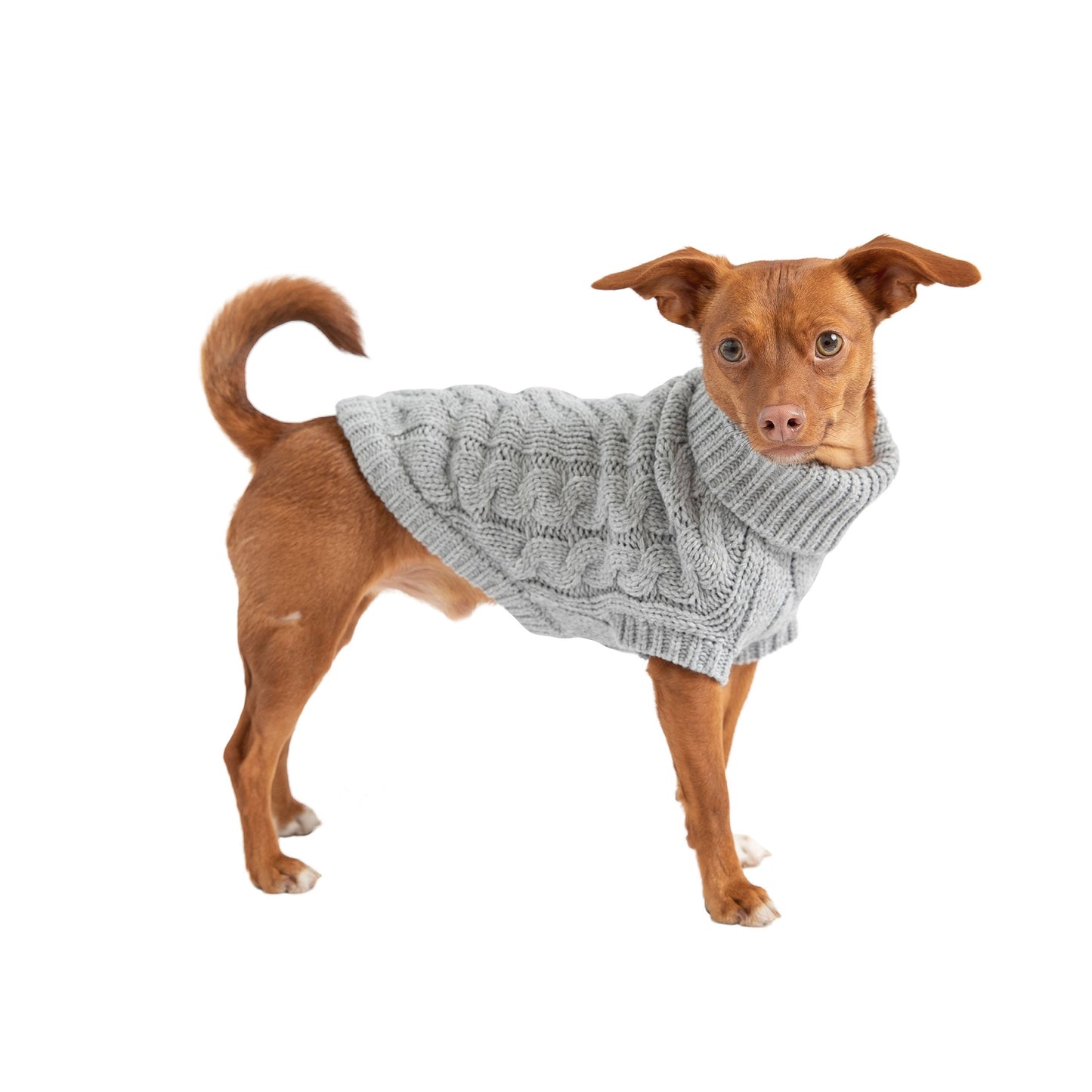 Chalet Dog Sweater - Grey*