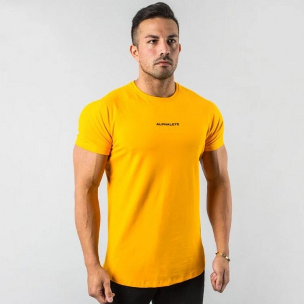 Men Fitted Gym T-Shirt* Workout Shirt