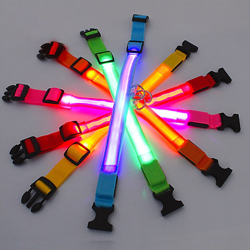 Luminous Dog Collar Glow in the Dark Collar LED Safety Collar *