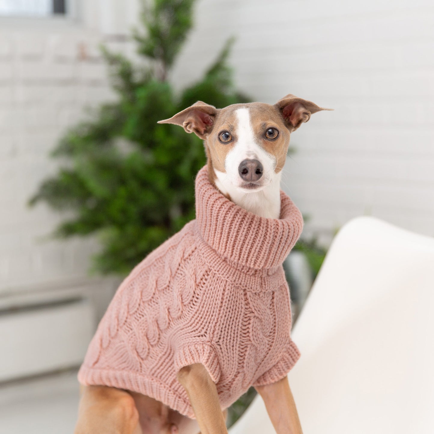 Chalet Dog Sweater - Pink*