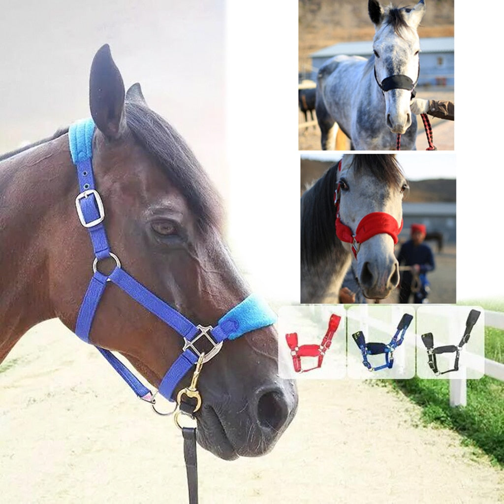 Soft Padded Pony Horse Halter Bridle Headstall Head Collar Horse Riding Stable*