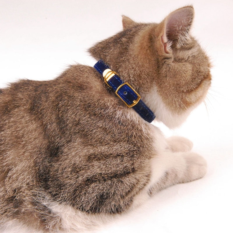 Collar For Cats Small Dogs Kittens*