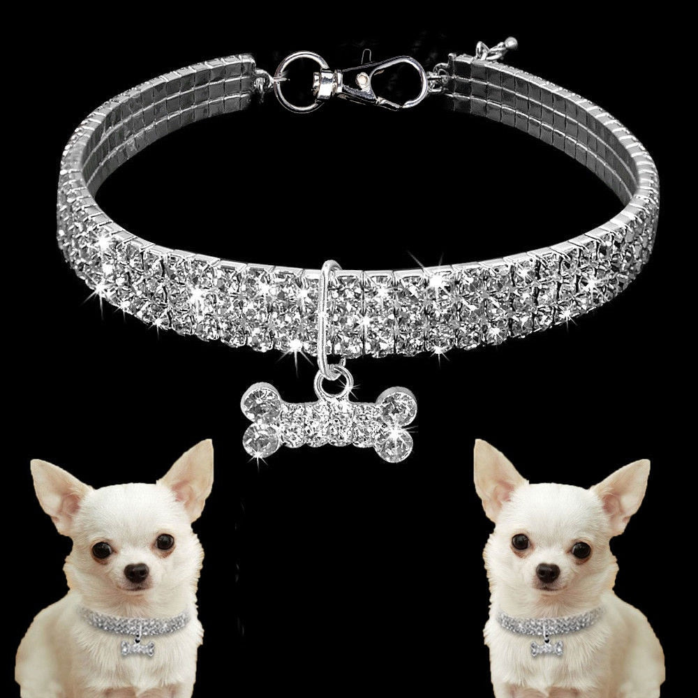 Unique and Stylish Pet Collar*