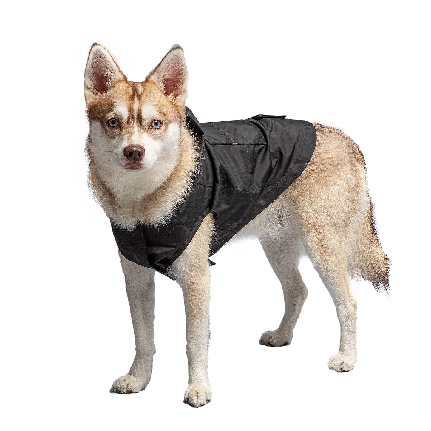 US Army Packable Dog Raincoat - Black*