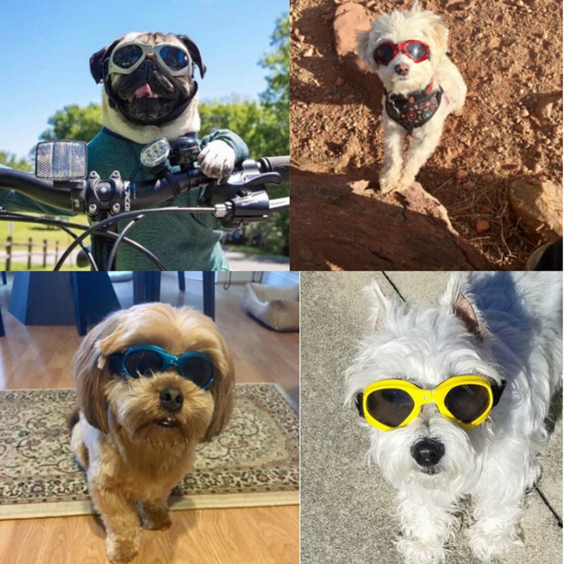 Dog Sunglasses*