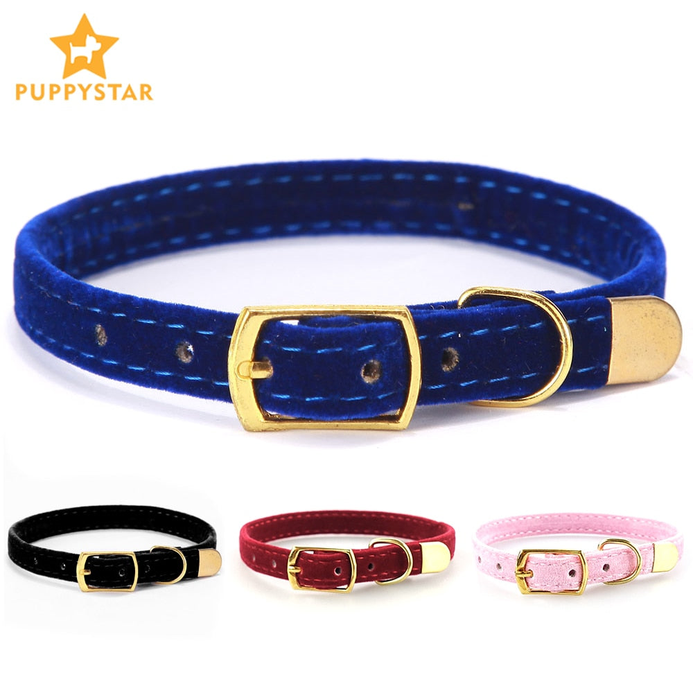 Collar For Cats Small Dogs Kittens*