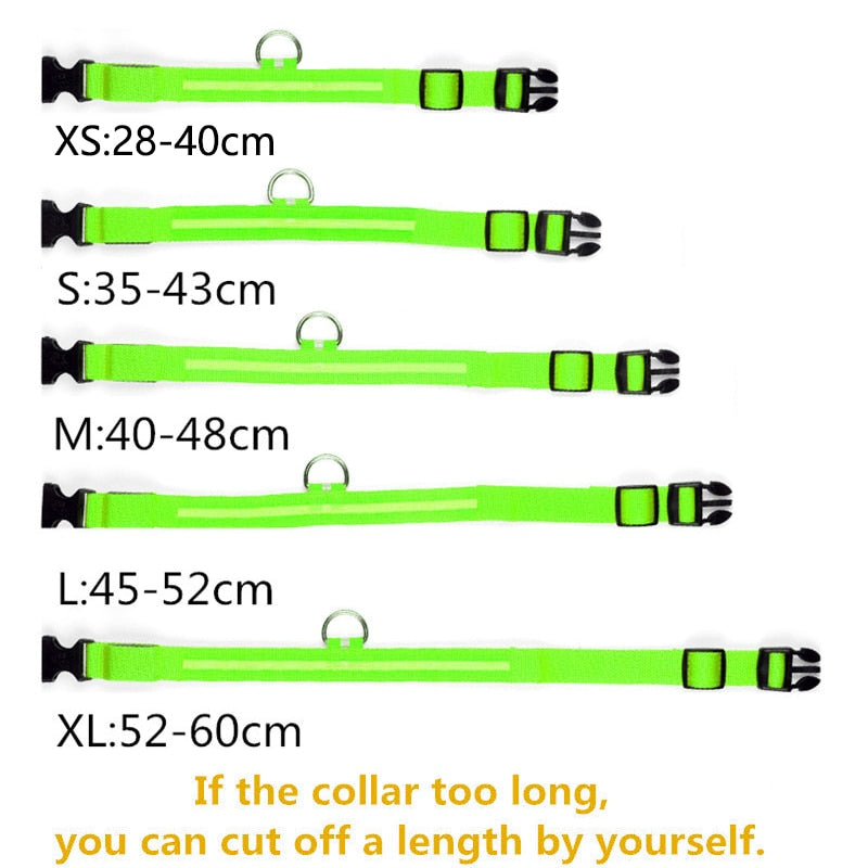 Adjustable LED Glowing Pet Collar Safety Collar rechargeable*