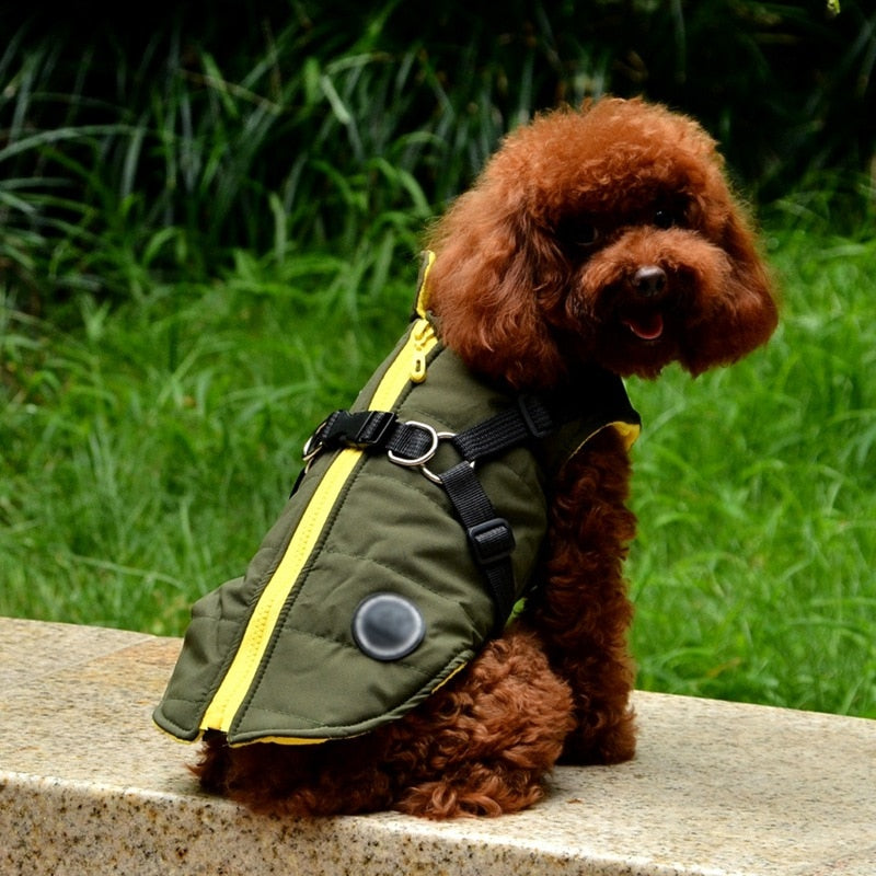 Waterproof Pet Coat With Harness*