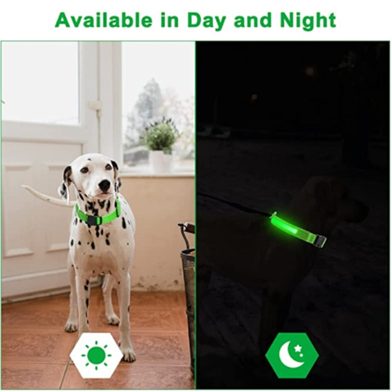 Luminous Dog Collar Glow in the Dark Collar LED Safety Collar *