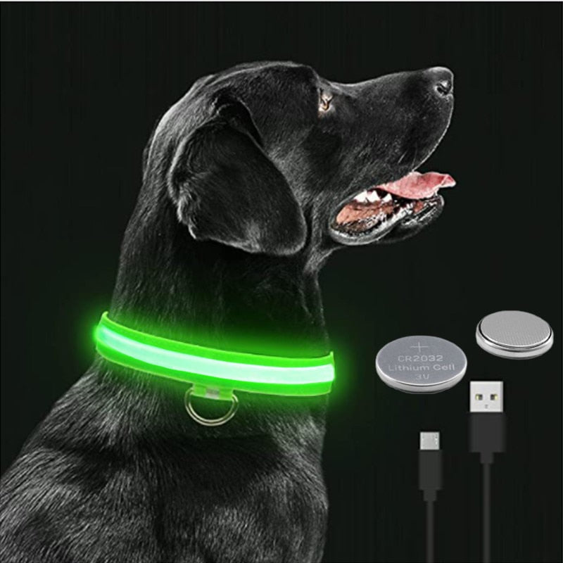 Luminous Dog Collar Glow in the Dark Collar LED Safety Collar *