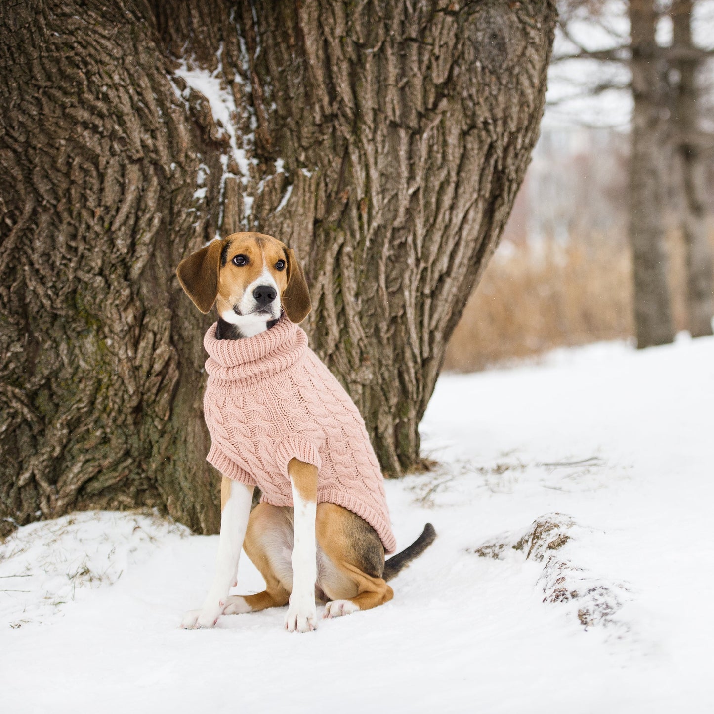 Chalet Dog Sweater - Pink*