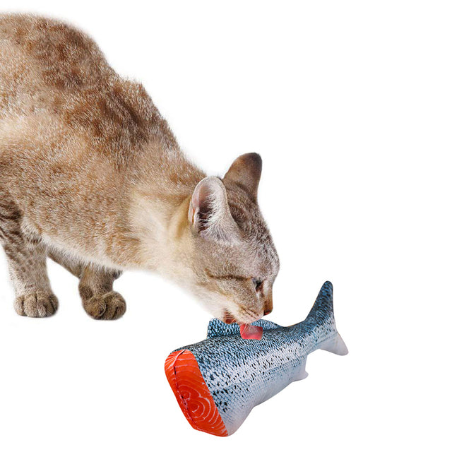 Creative Fish Shape Pet Toy* Cat Toy