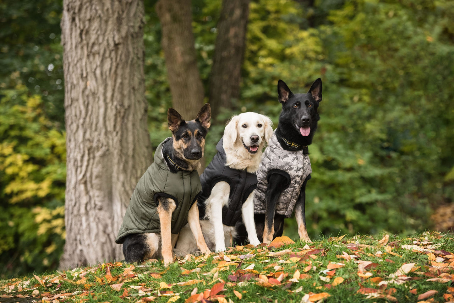 US Army Dog Parka - Dark Camo* Green