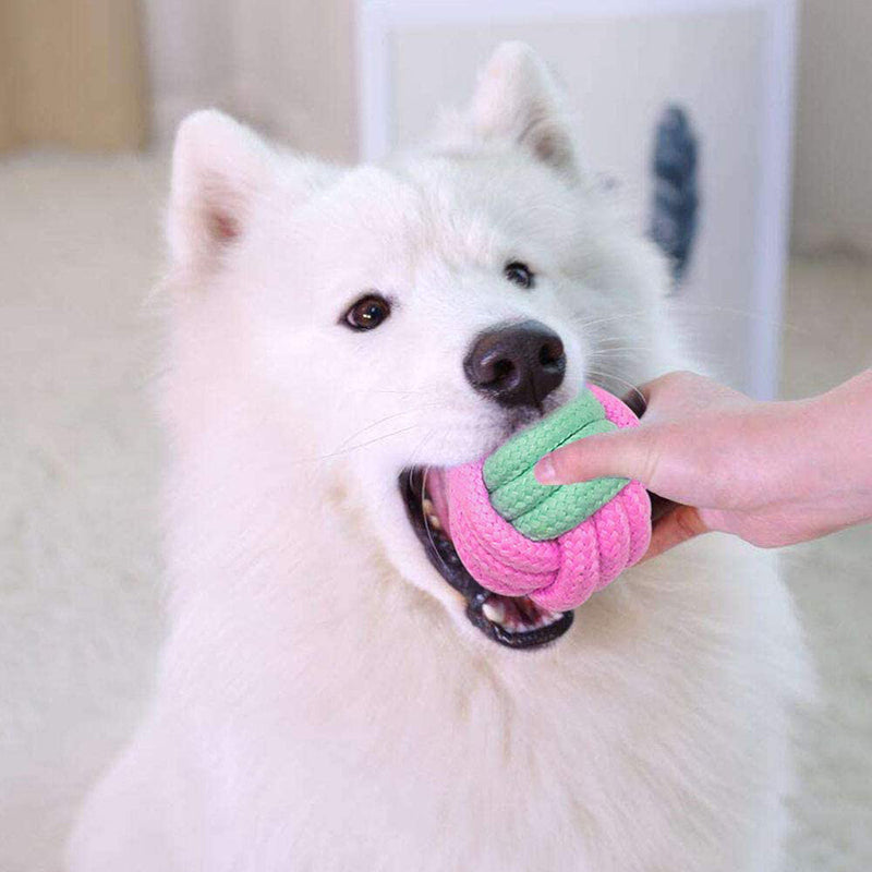 Pet Dog Chew Toys*