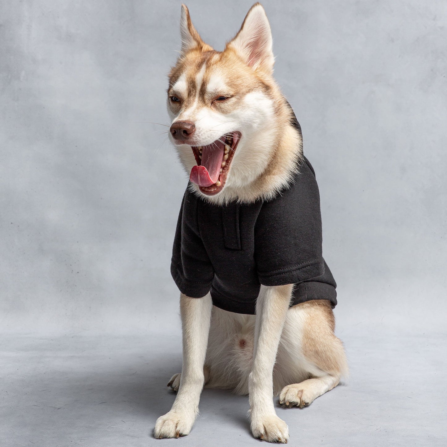 US Army Hooded Dog Fleece - Black*