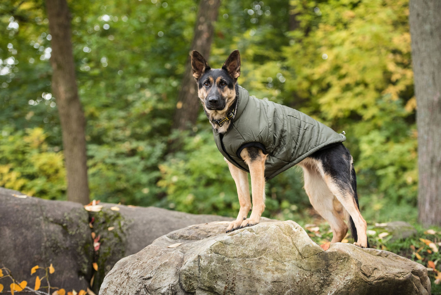 US Army Dog Parka - Dark Camo* Green