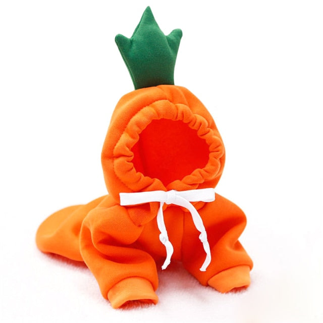 Fruit Pet Coat Hoodies